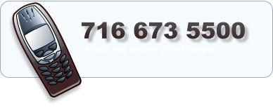 716 673 5500   Aliqua est, tempor cillum tempor